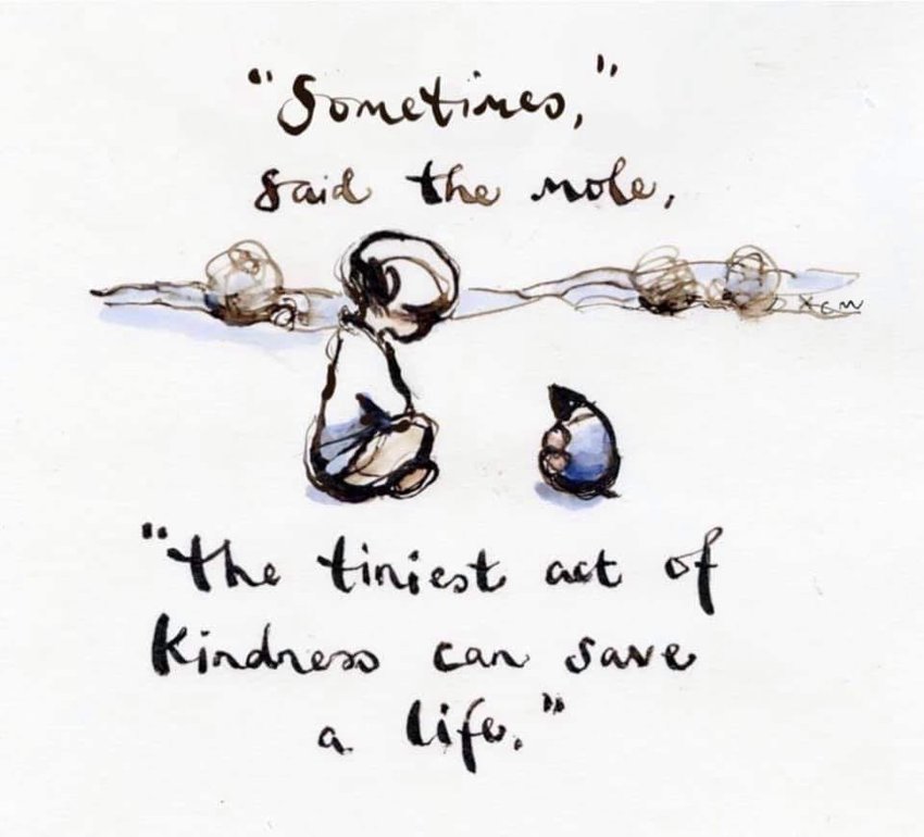 Image of The Importance of Kindness